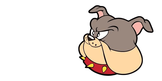 Foto do Spike